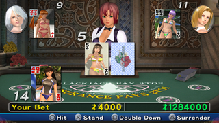 Illustration for article titled Dead Or Alive Paradise Screens